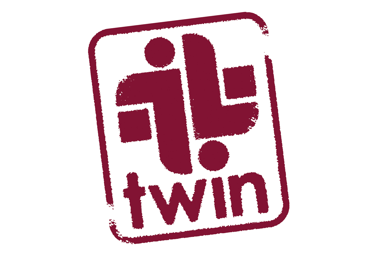 Twin logo