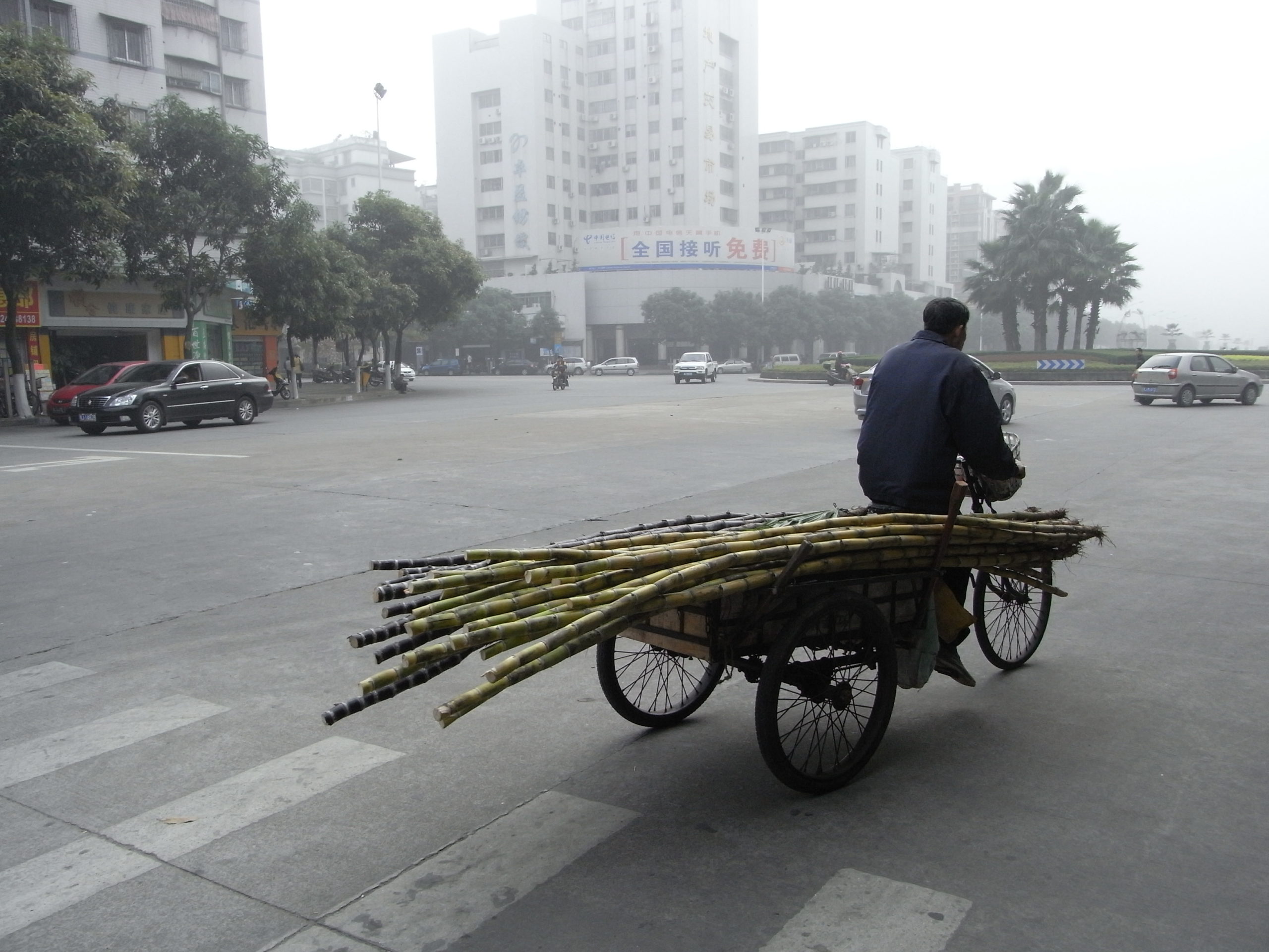 Left-behind children: an issue that the Beijing government cannot turn a blind eye on – Theodora Yeung