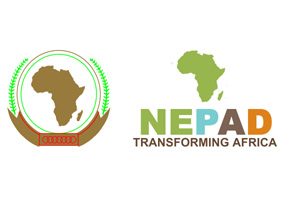 NEPAD logo
