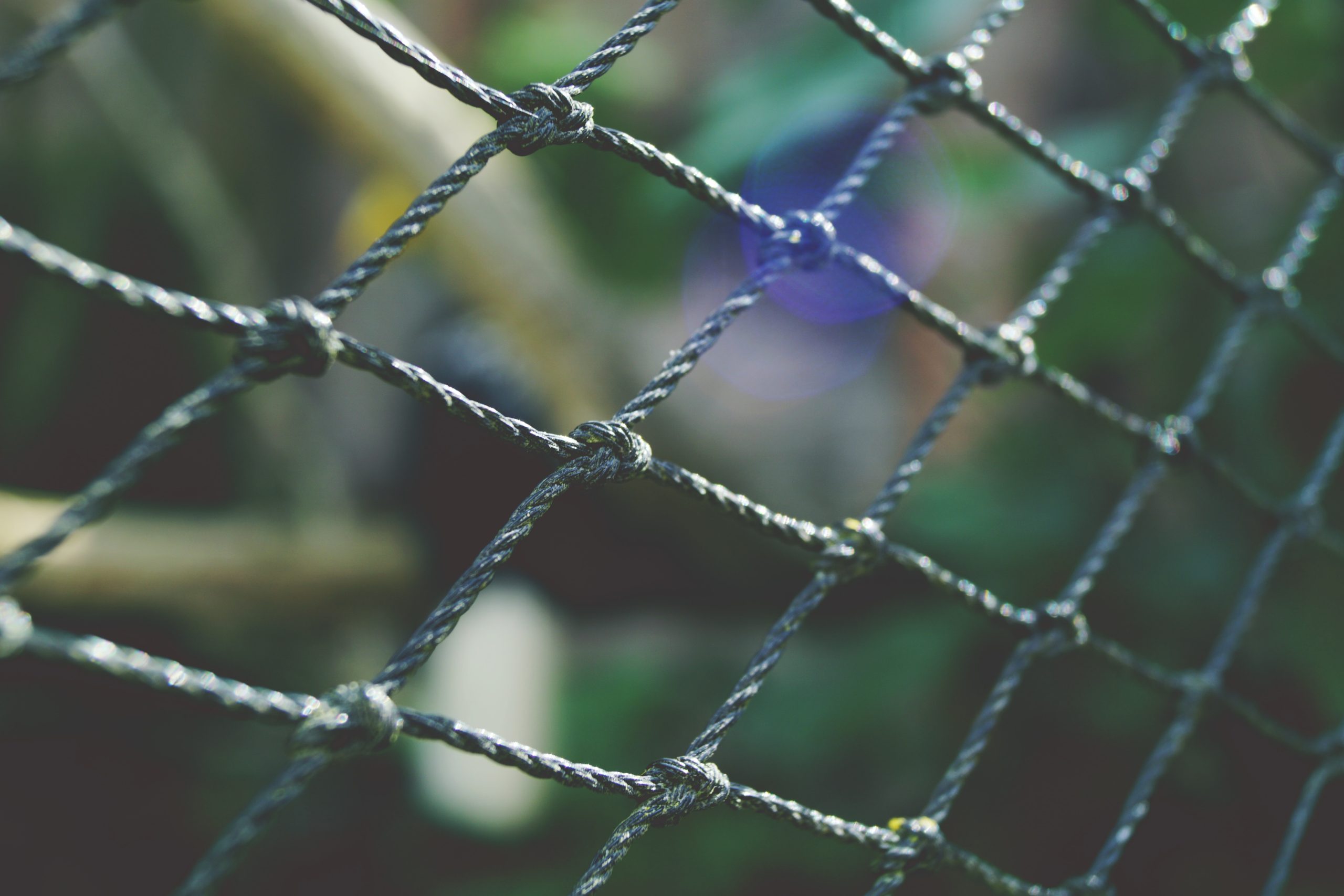 wire fence close up