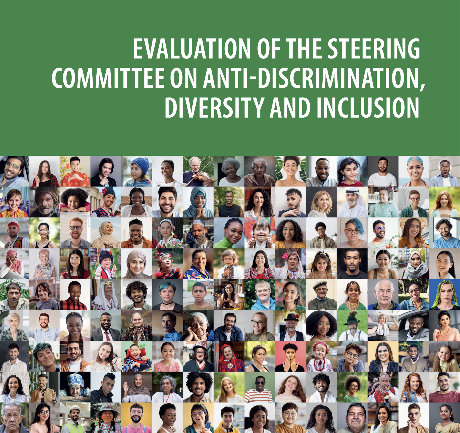 Evaluation of the Steering Committee on Anti-Discrimination, Diversity and Inclusion