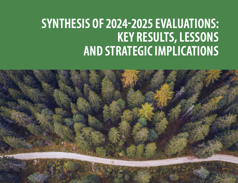 Synthesis of 2024-2025 Evaluations: Key results, lessons and strategic implications