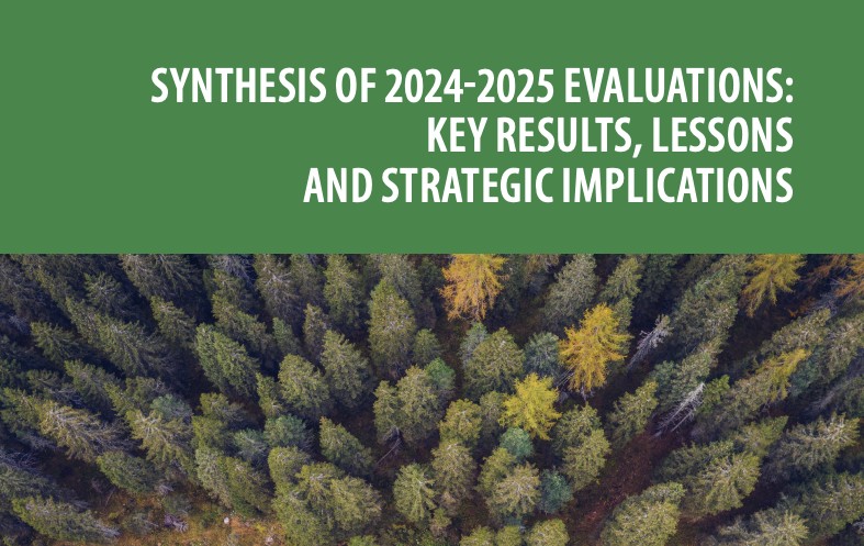 Synthesis of 2024-2025 Evaluations: Key results, lessons and strategic implications