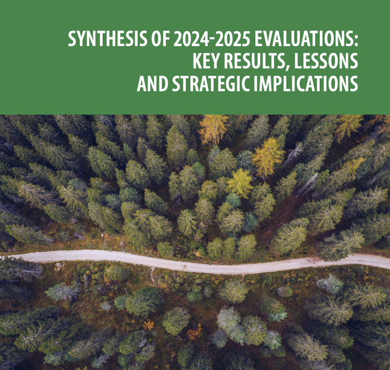 Synthesis of 2024-2025 Evaluations: Key results, lessons and strategic implications